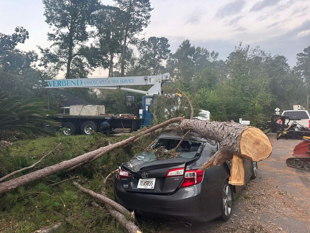 All Photos for Bulldawg Disaster Response in Atlanta, GA