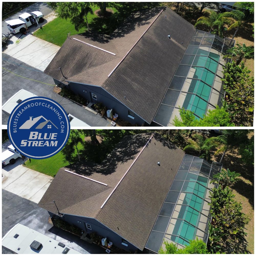 All Photos for Blue Stream Roof Cleaning & Pressure Washing in Tampa, FL