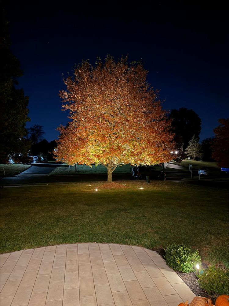 All Photos for Unique Outdoor Lighting in Short Hills, NJ