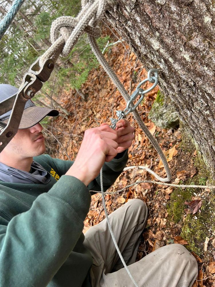 All Photos for Abair Tree Service in Weare, NH