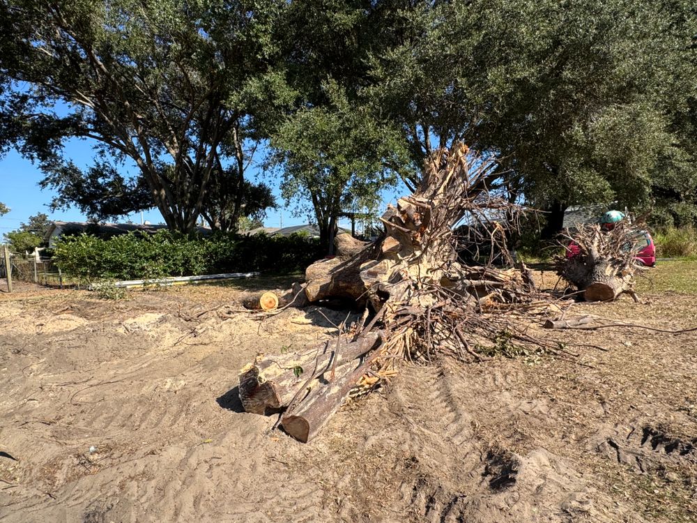 All Photos for Heverly Land Solutions in Winter Haven, FL