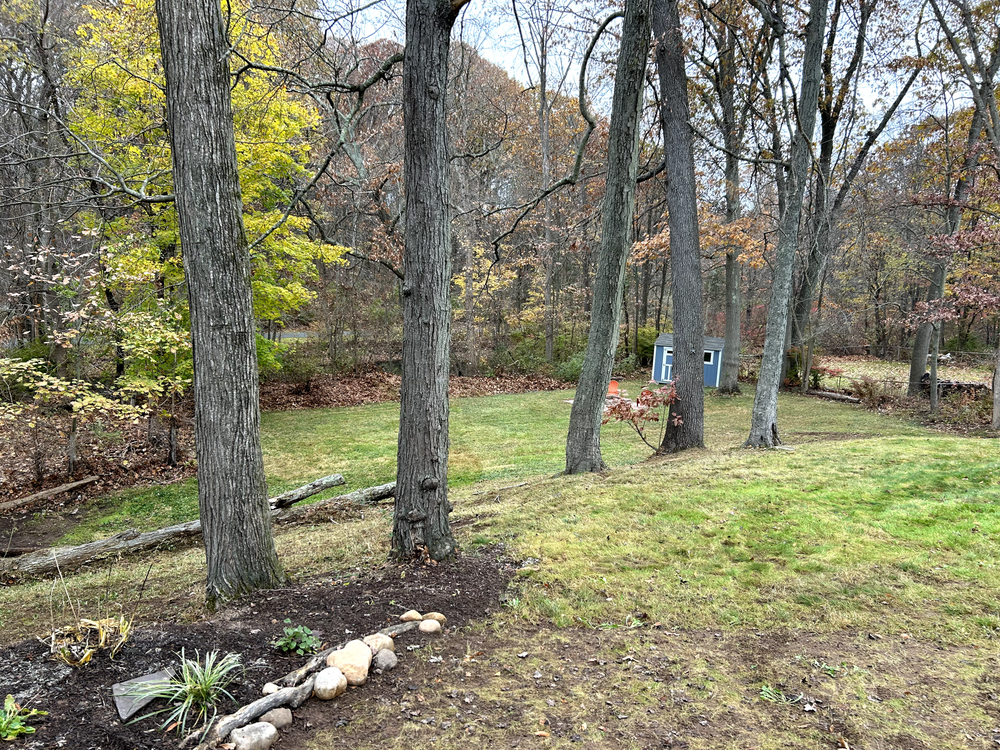 Our Fall Clean Up service ensures your property stays pristine, featuring leaf removal, garden bed cleaning, and debris clearance to prepare your landscape for winter while enhancing its overall appearance. for Dibs Landscaping LLC in Cheshire, CT