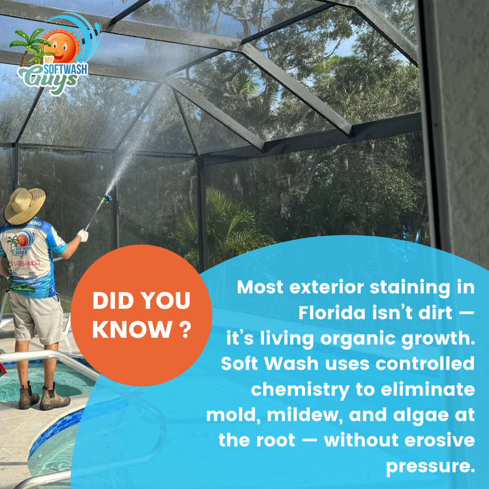 All Photos for My Soft Wash Guys in Venice, FL