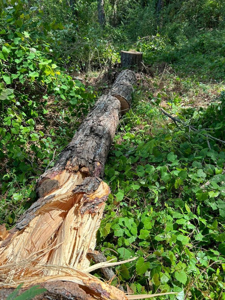 All Photos for Old Florida Lawncare in Baker, FL