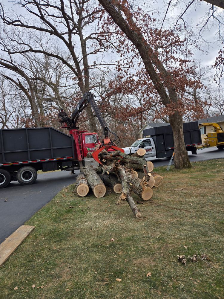 All Photos for Olson Tree Service, Inc in Winnebago County, IL