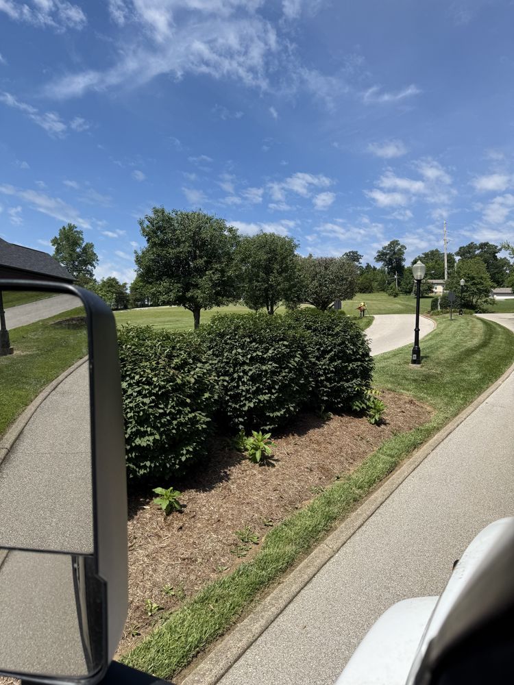 All Photos for Lightning Tree Service in Corydon, IN