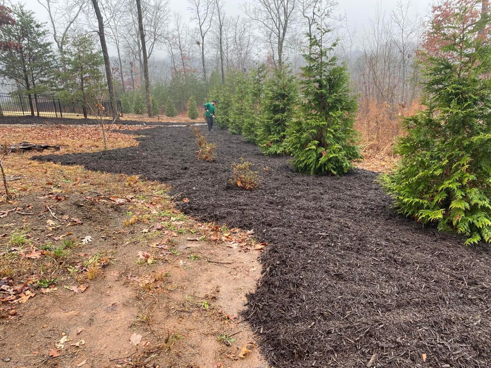 Landscaping for Down To Earth Tree and Landscaping in Greenville, SC