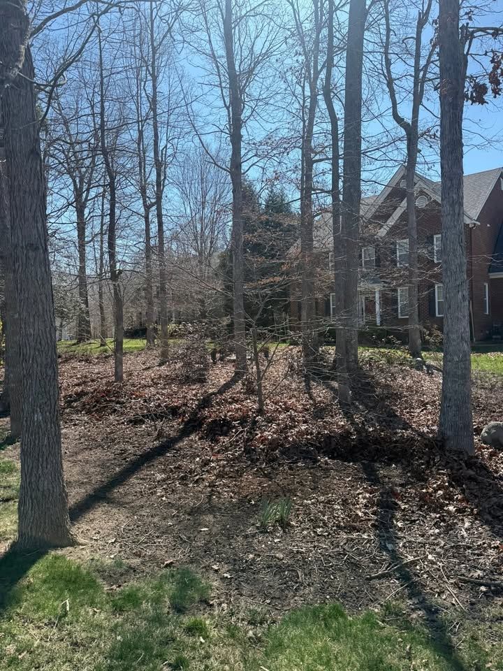 All Photos for C + C Landscaping in Chesterfield, VA