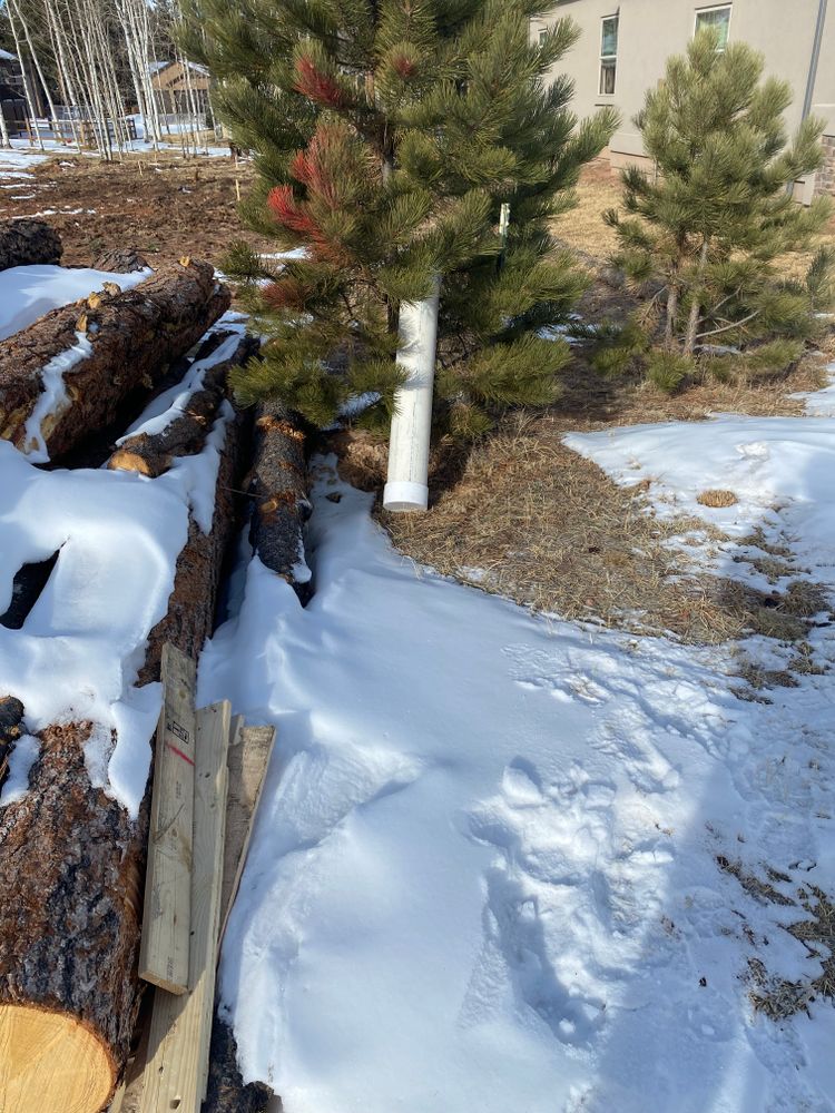 All Photos for Neglected Repairs in Woodland Park, CO