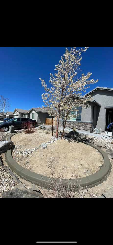 All Photos for Angel Landscaping in Sparks, NV