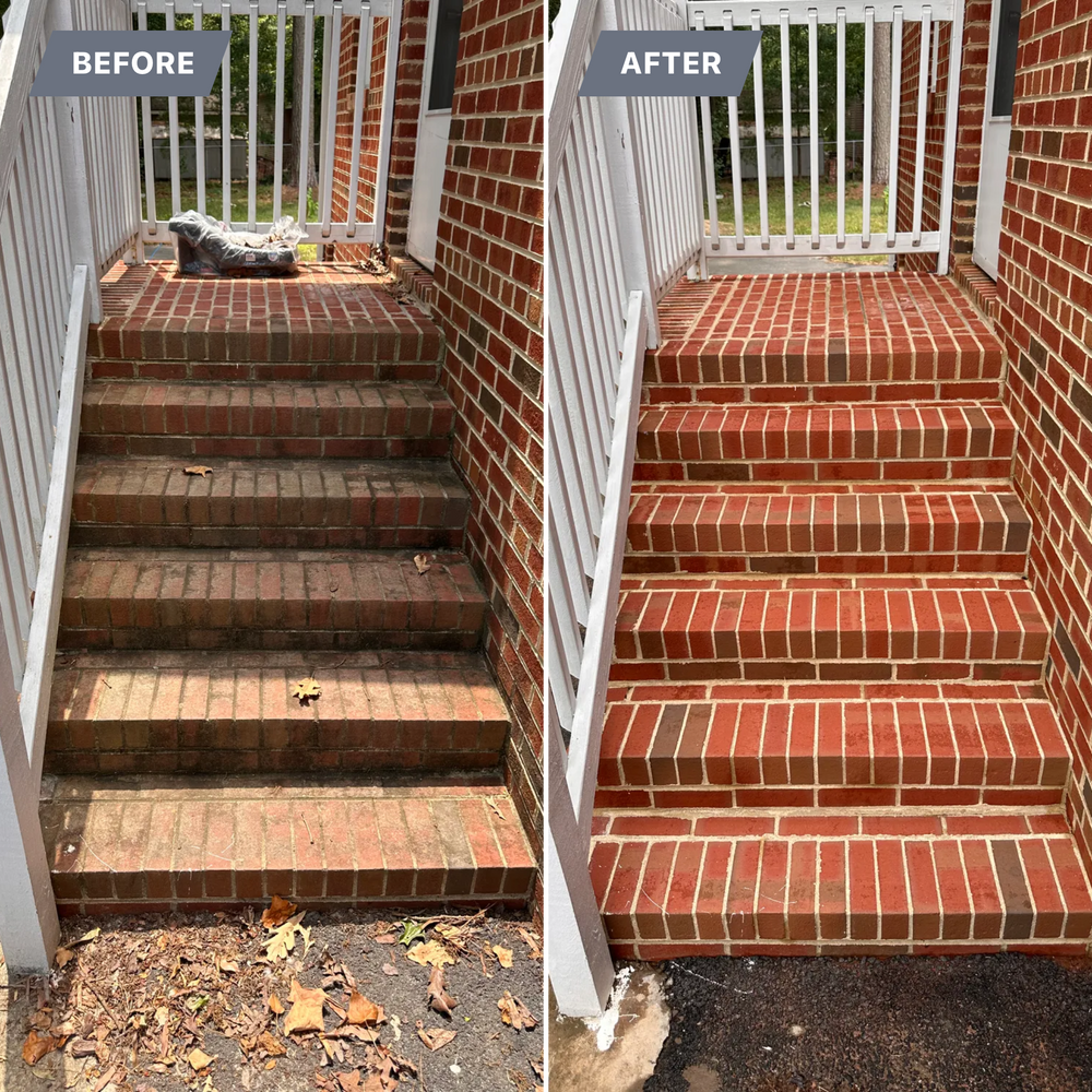 All Photos for LeafTide Solutions in Richmond, VA