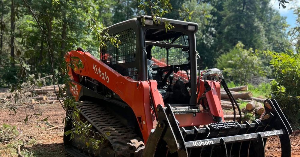 All Photos for Best Price Tree Service in Hallsville, TX