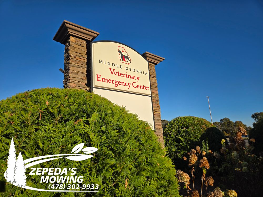 All Photos for Zepeda's Mowing in Fort Valley, GA