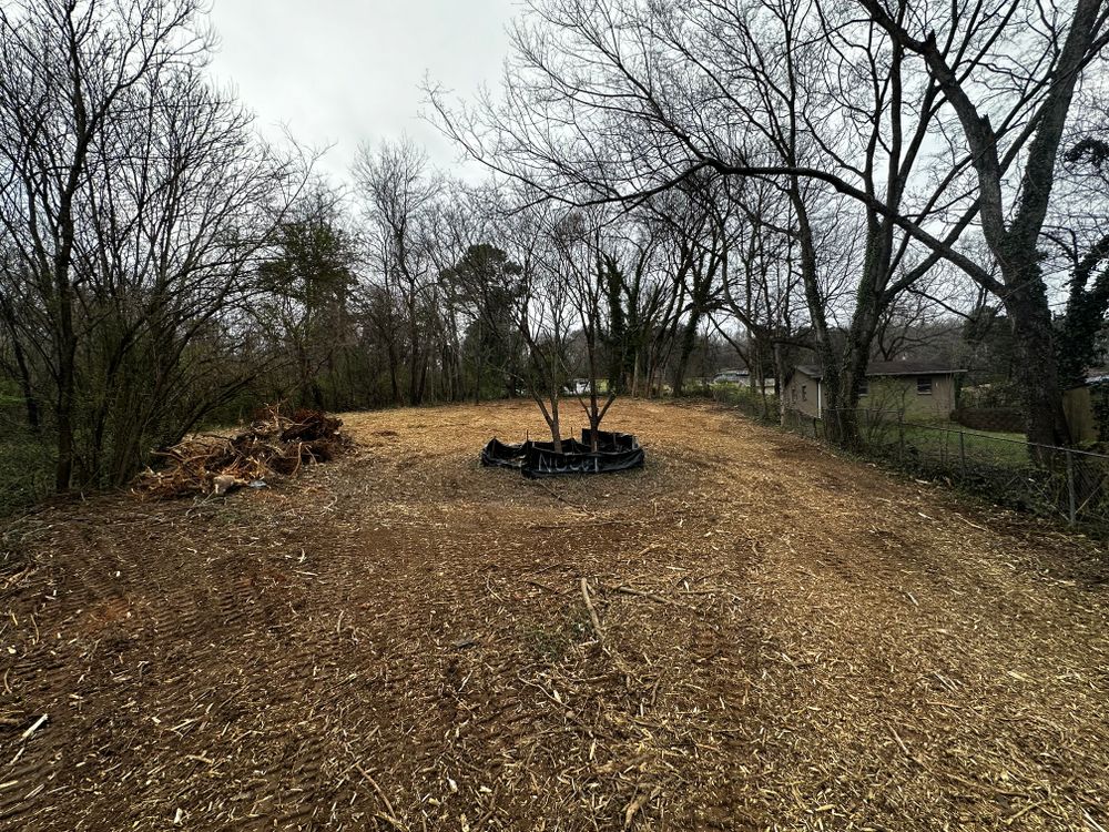 Clearing  for Holmes Septic Works LLC in Knoxville, TN 