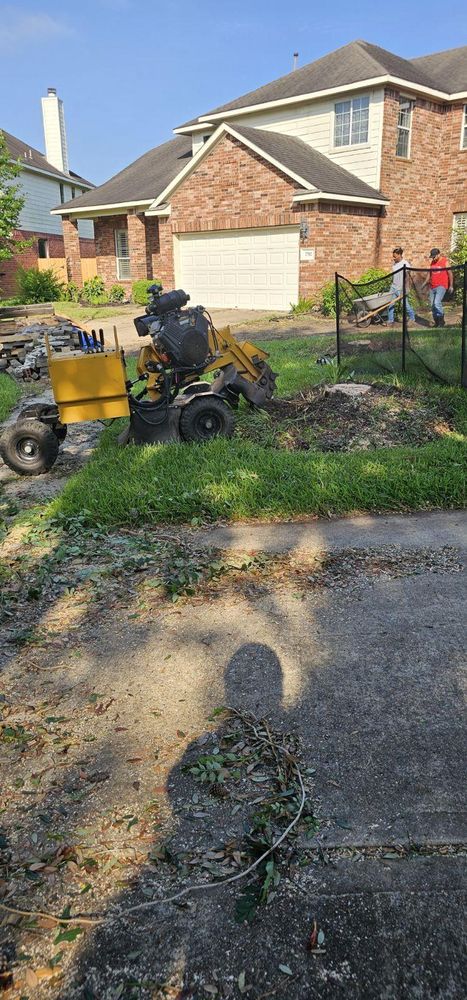 All Photos for Servin's Tree Care  in Houston, TX