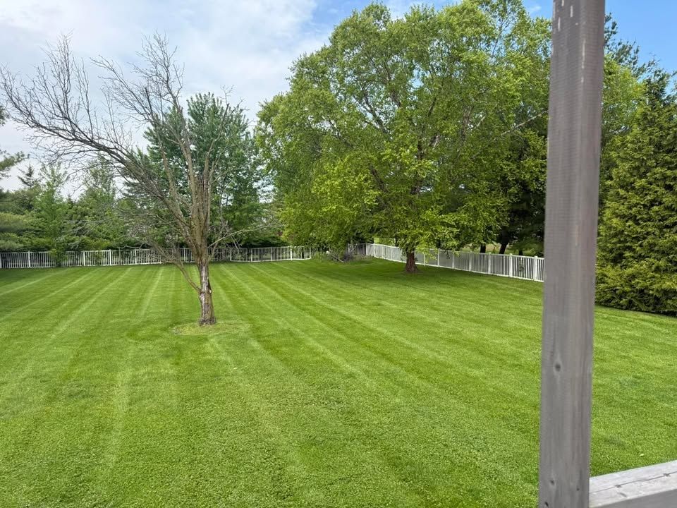 All Photos for Bearforce Lawn Care LLC in Greenfield, IN