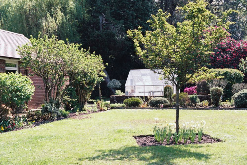 All Photos for Dumbo's Doggy Doors in City of Sammamish, WA