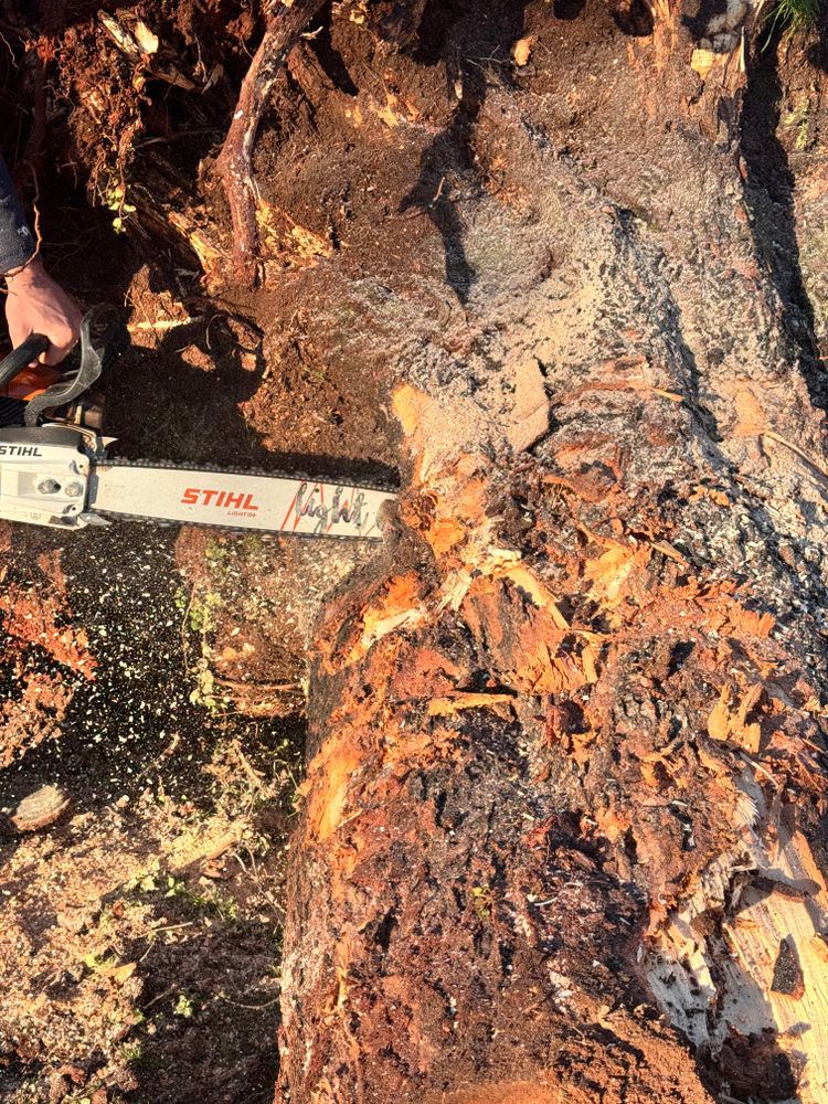 All Photos for Leal’s Lawn Service in Dayton, TN