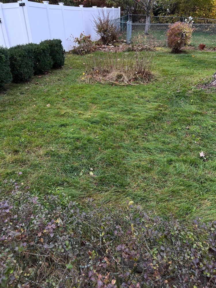 All Photos for Bumblebee Lawn Care LLC in Albany, New York