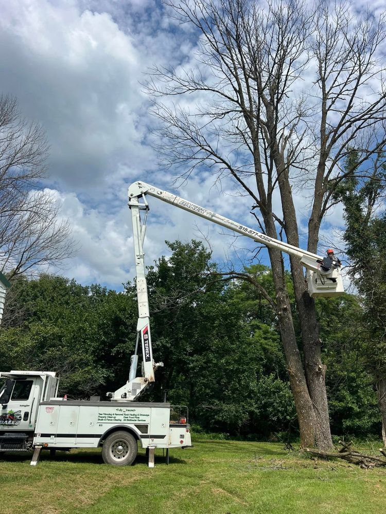 Enhance your property's beauty and safety with our professional tree trimming service. We expertly prune overgrown branches to improve health and curb appeal while ensuring the longevity of your trees. for Baker Professional Services LLC in Shelbina, MO