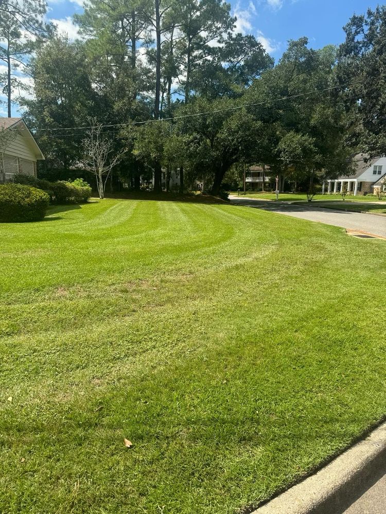 All Photos for Johnson Lawn Care in Mobile, AL