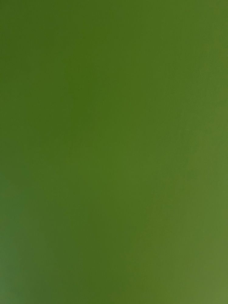 All Photos for ZHI Services in Hadley, MA