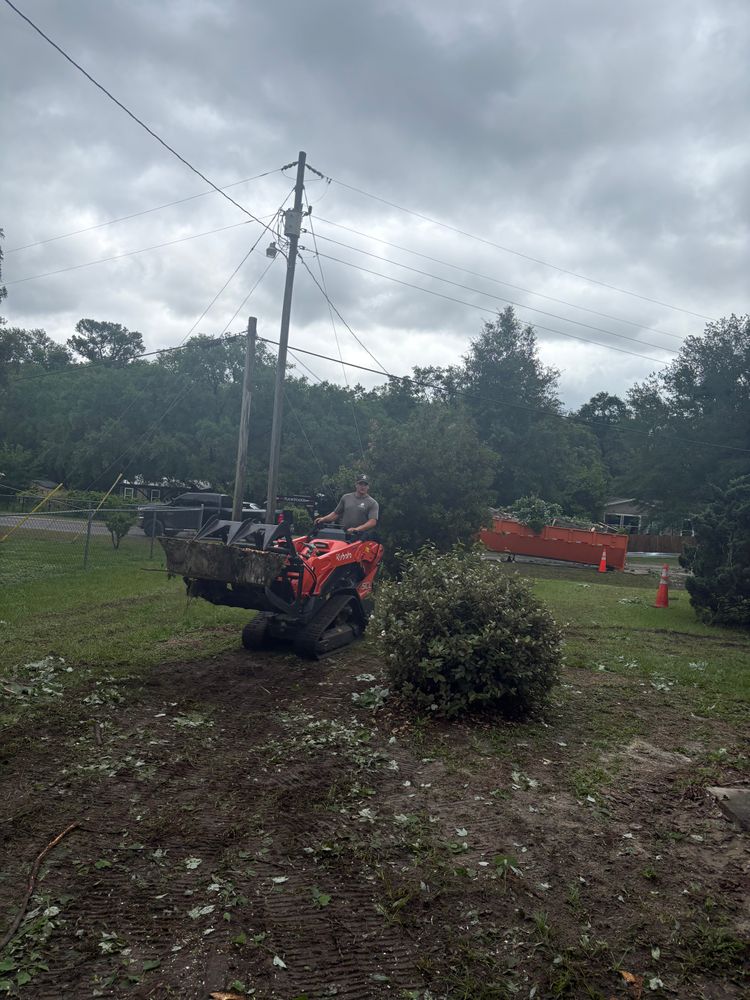 All Photos for Top Notch Tree Experts in Orange Park, FL