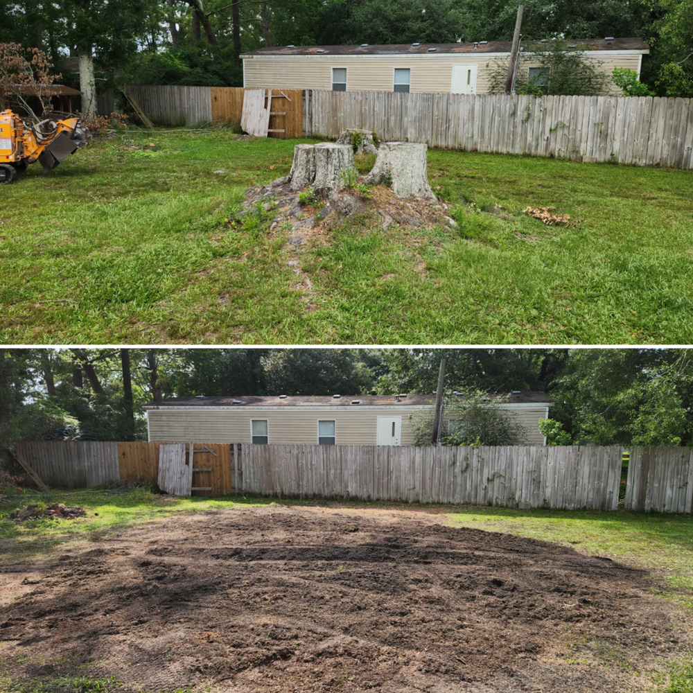 All Photos for David's Tree Service in Slidell, LA