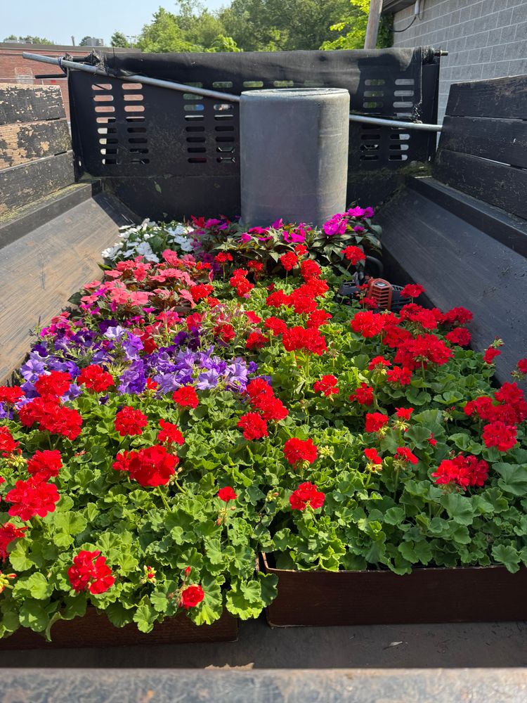 All Photos for Adams Landscaping in Springfield, MA