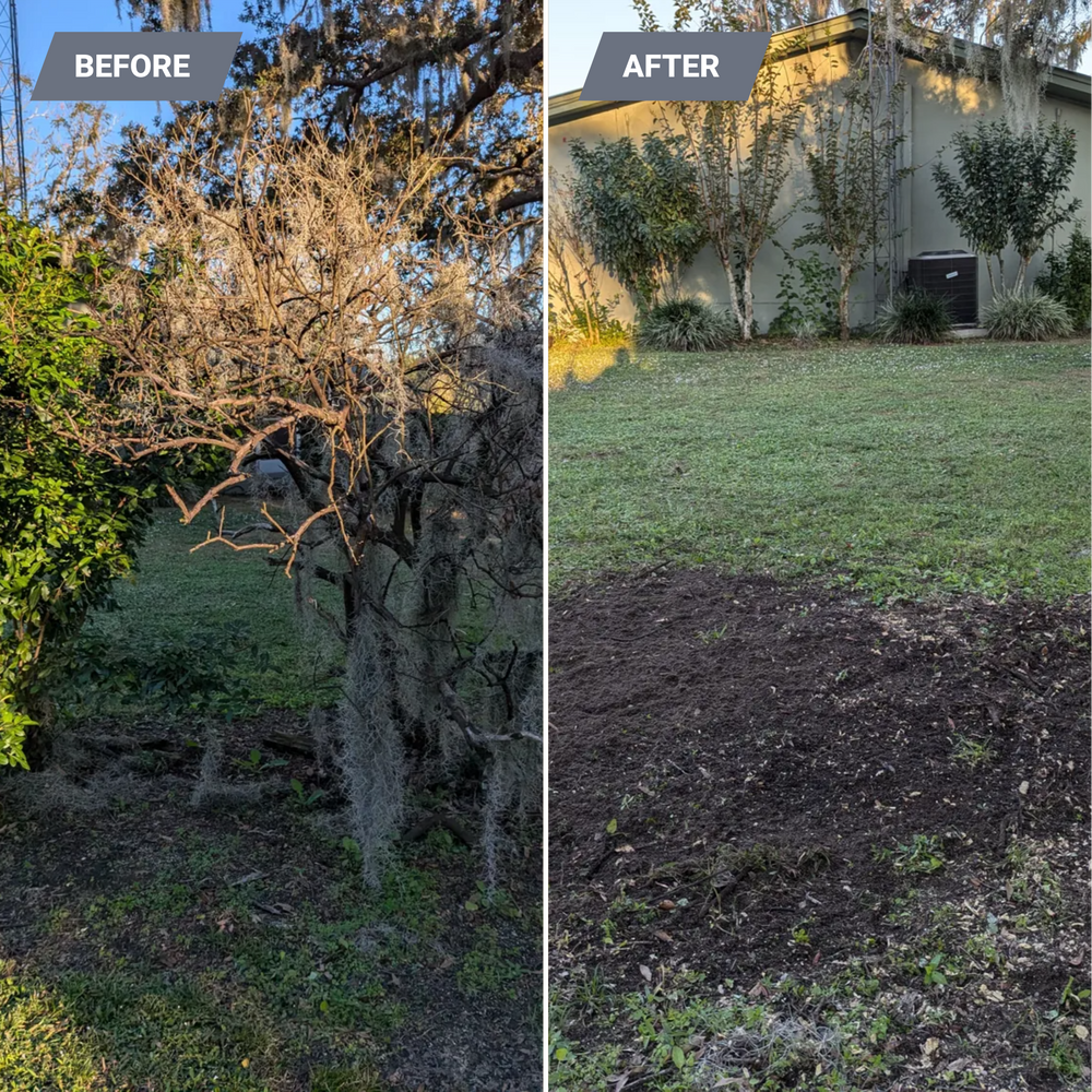 All Photos for Regal Tree Service and Stump Grinding in Wauchula, FL