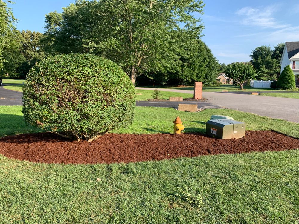 Other Services for Optimum Tree Service And Landscaping in Bowling Green, KY