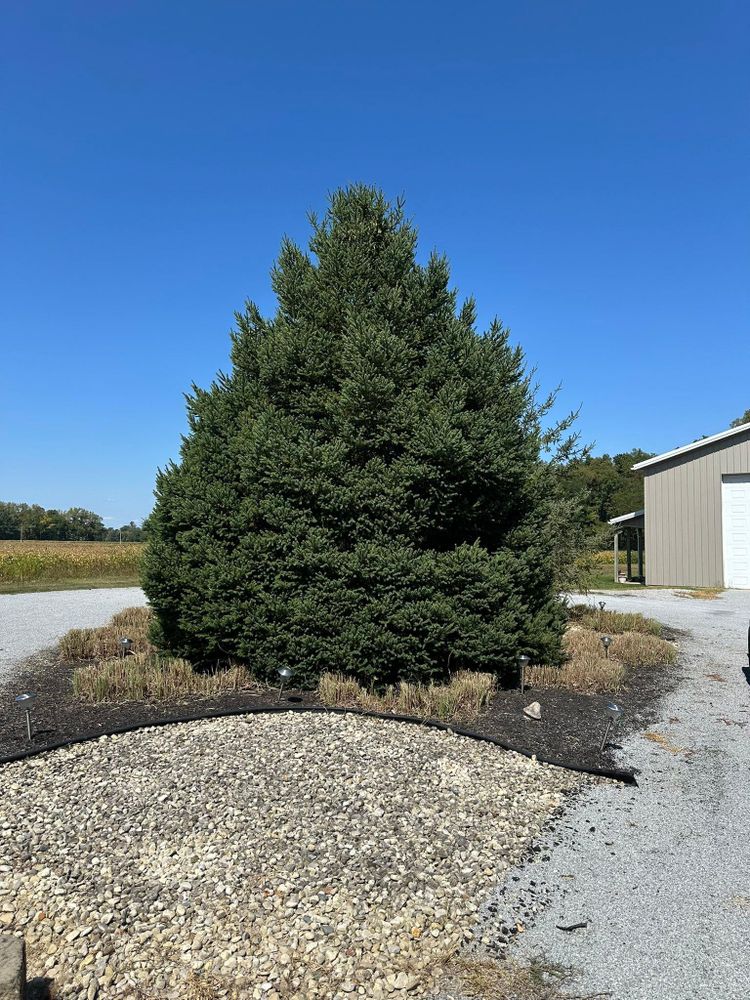 All Photos for OT Lawn and Landscaping LLC in Carey, OH