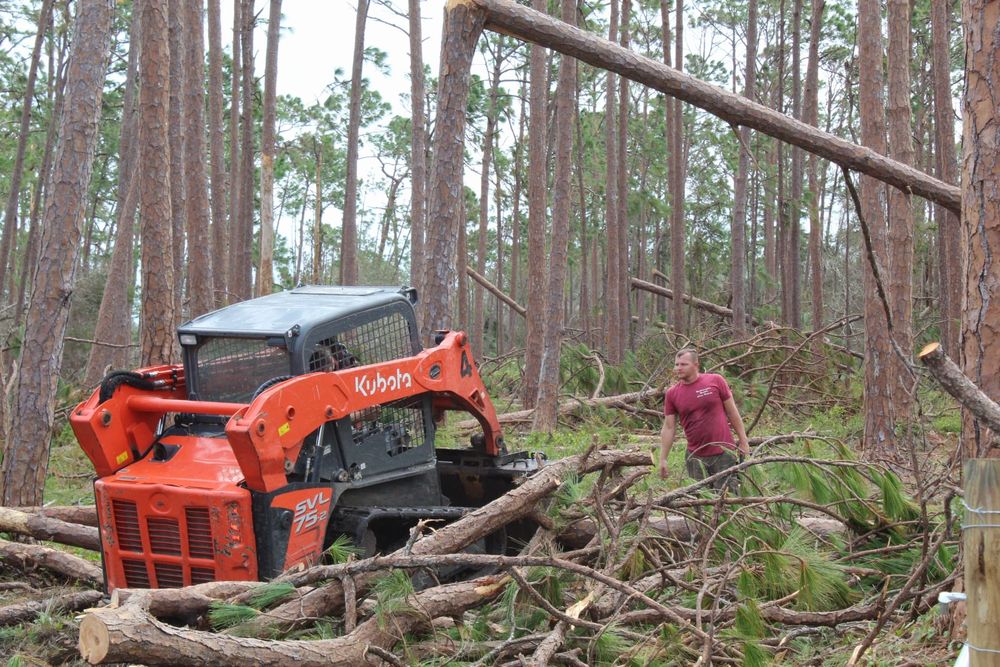 Tree Removal for American Tree Masters in Alvin, TX