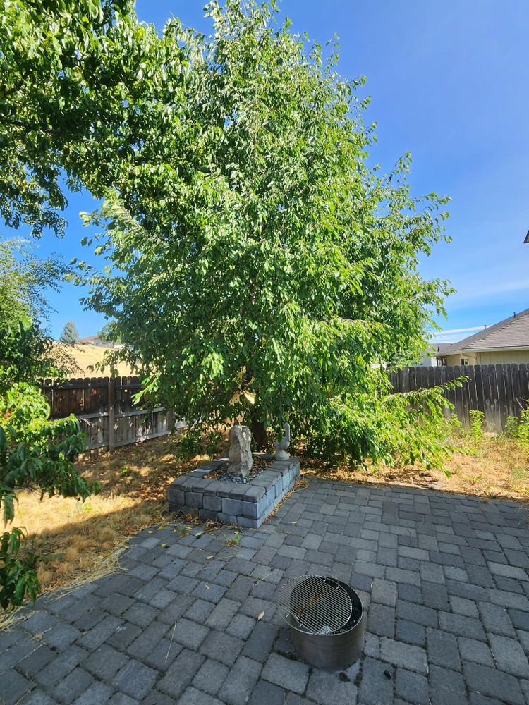 All Photos for Bernal's Lawn Care/Tree Service in Klamath Falls,  OR