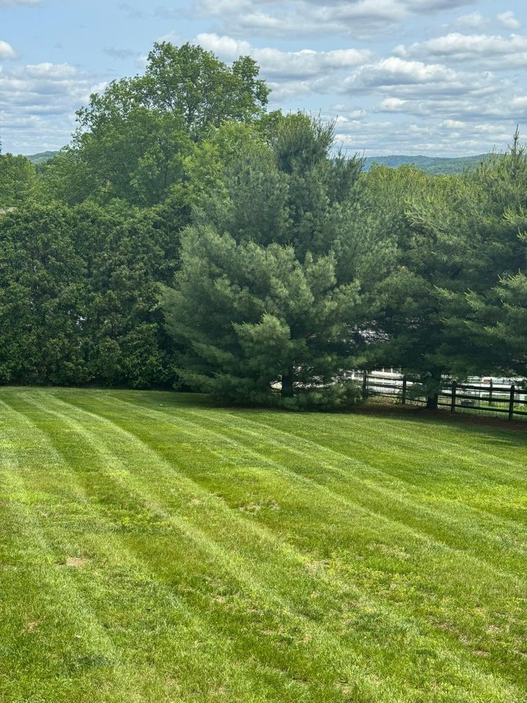 All Photos for Landscape & Lawn Care Pros in Temple, PA