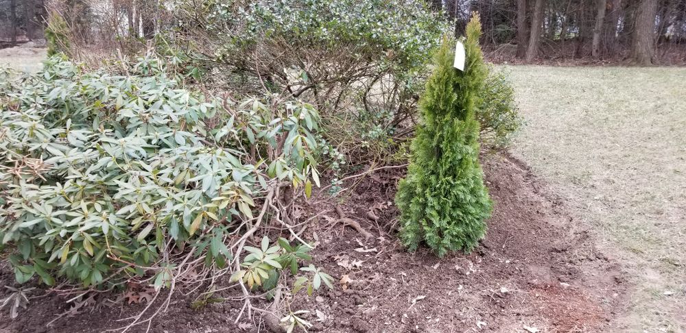 Flower & Tree Planting for Landscape Innovations LLC in Torrington, CT