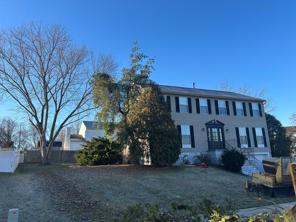 All Photos for Hingewood Tree Service in Salem, NJ