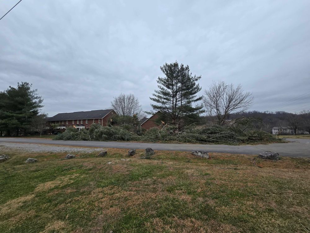 All Photos for M&L Lumber and Excavating in Jonesborough, TN