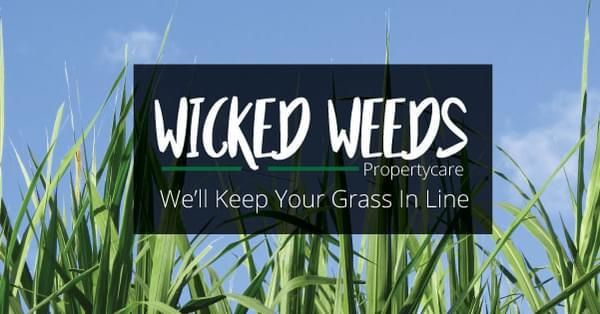 All Photos for Wicked Weeds Propertycare in Tampa, Florida