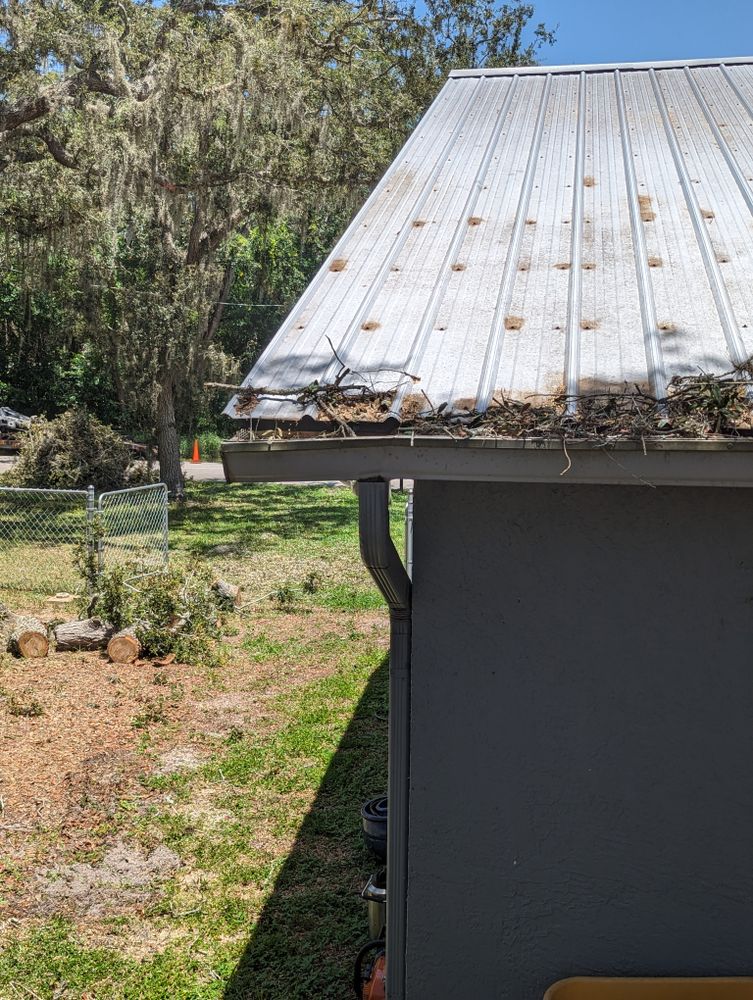 All Photos for Regal Tree Service and Stump Grinding in Wauchula, FL