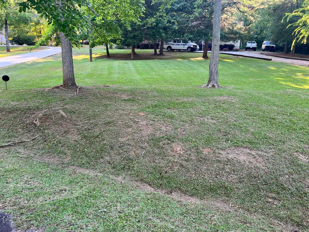 Fall and Spring Clean Up for Battle Lawn Maintenance in Eatonton, GA