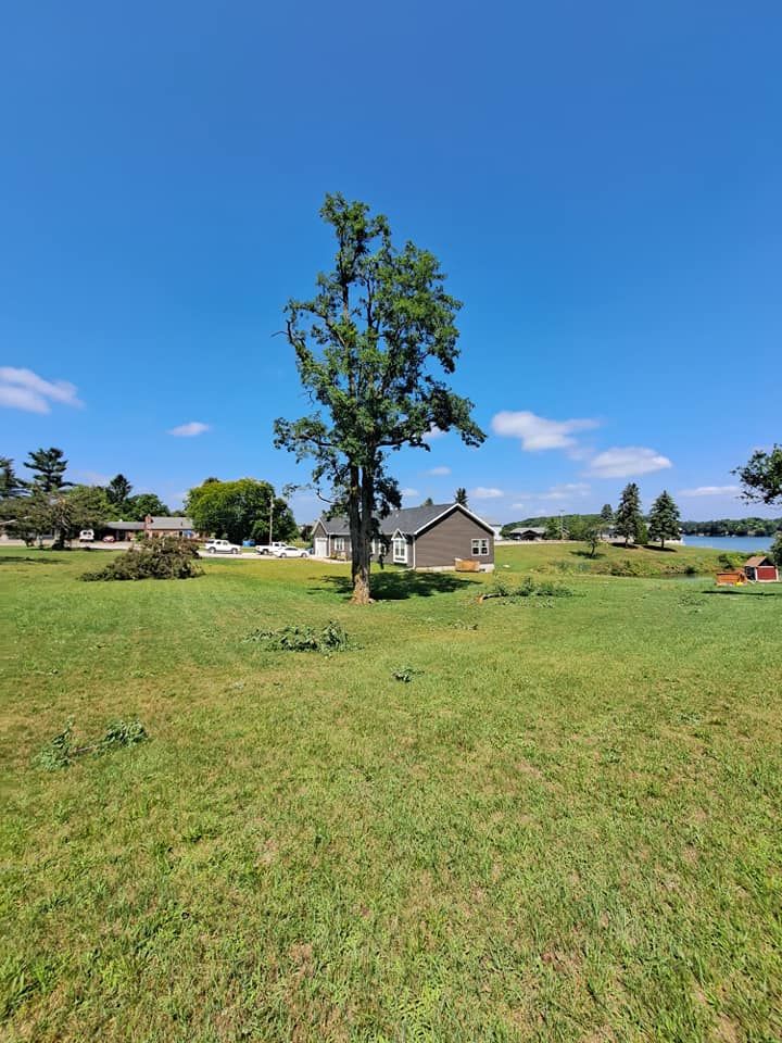 All Photos for God's Country Timber Management in Hillsdale, MI