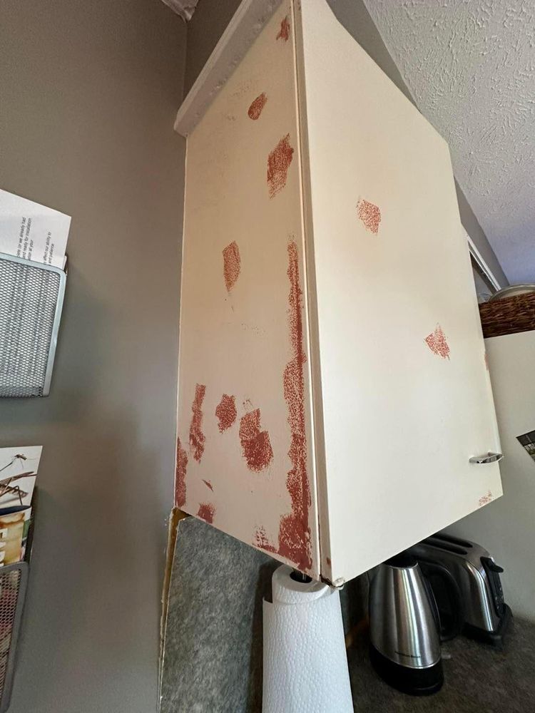 All Photos for Matt Meranda Painting in Grand Rapids, MI