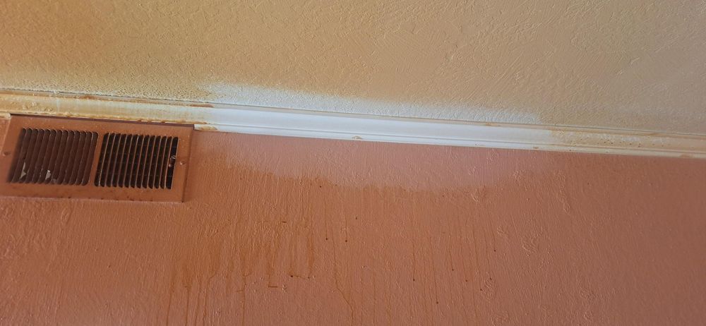 All Photos for Velasco's Painting in Sacramento,  CA