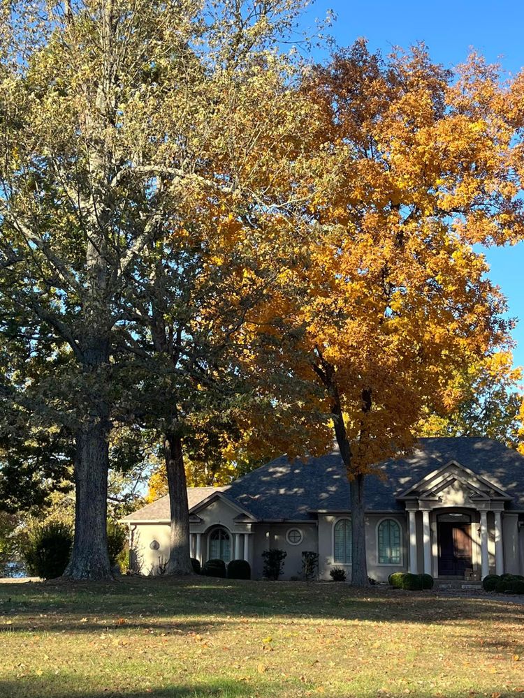 All Photos for Curtis Tree Service LLC in Hopkins County, KY