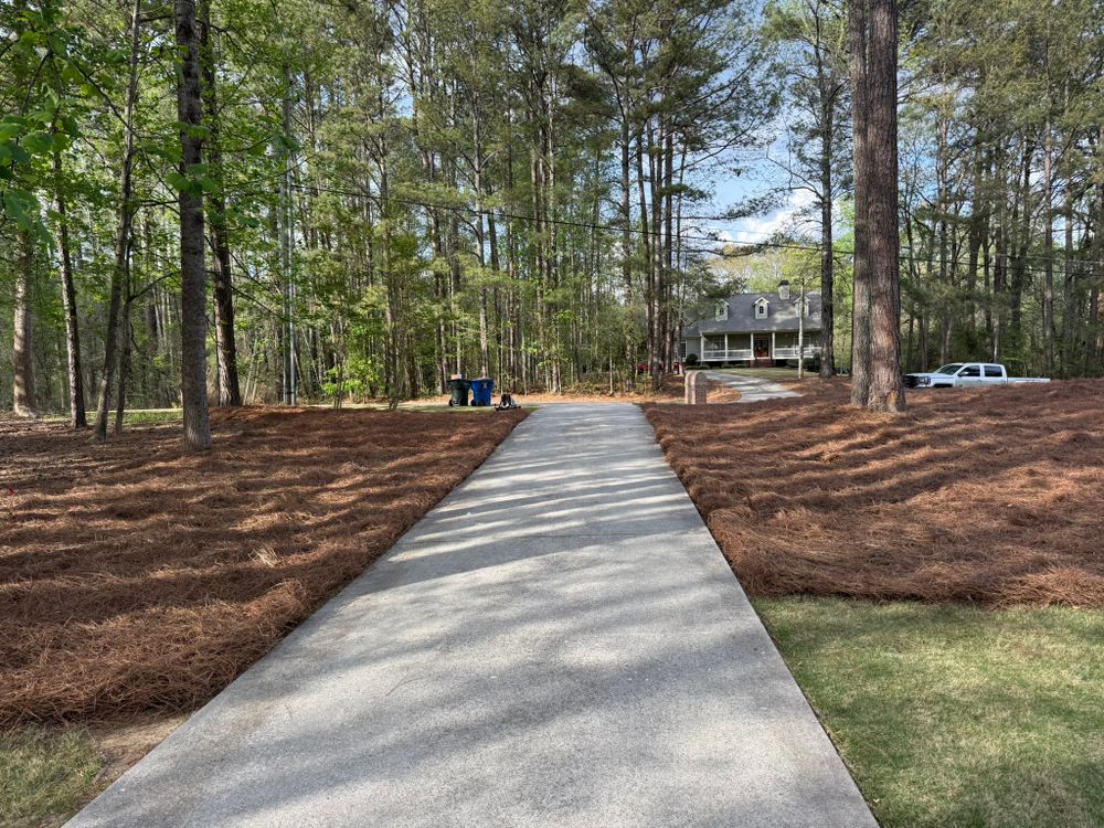 All Photos for Tri-P Services in Athens, GA