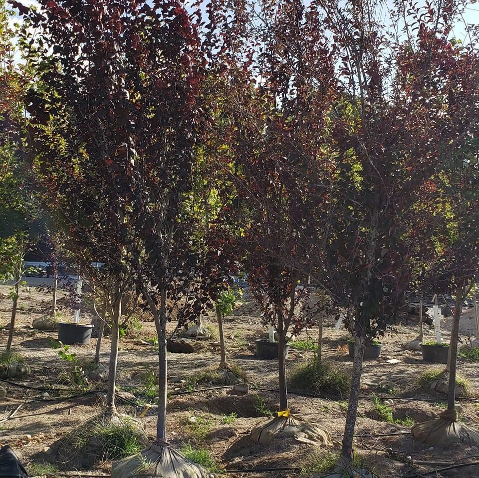 All Photos for Mike's Grading Plus in Caldwell, ID