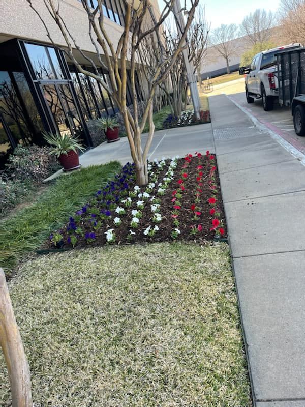 Seasonal color changes for Guerrero's Landscape in Fort Worth,  TX