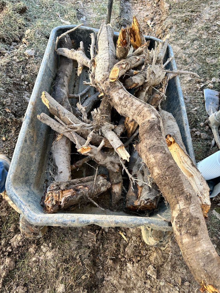 All Photos for Matteo Hardscapes in Towson,  MD