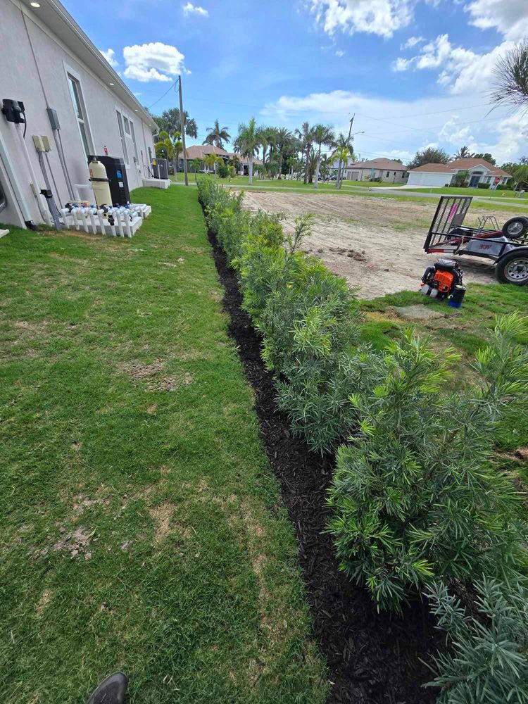 Enhance your home's curb appeal with our expert shrub trimming service, ensuring healthy growth and beautifully shaped greenery tailored to your landscape's design. Trust us for meticulous care and professional results. for First Class Landscaping in Collier County, FL